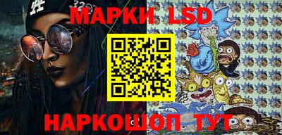 индика Нальчик