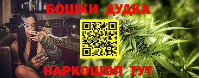 индика Нальчик