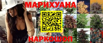 индика Нальчик