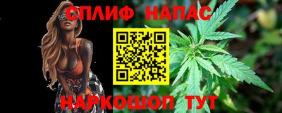 индика Нальчик