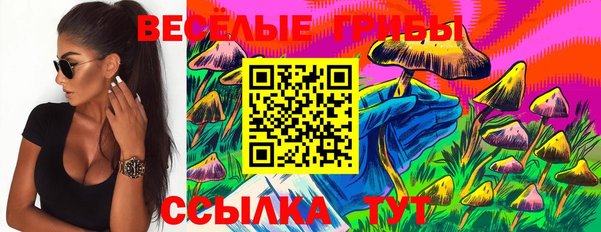 Галлюциногенные грибы Psilocybine cubensis  Псилоцибиновые грибы Psilocybe  Ставрополь  даркнет сайт  Вход с VPN 