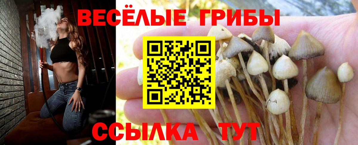 Галлюциногенные грибы ЛСД Ставрополь